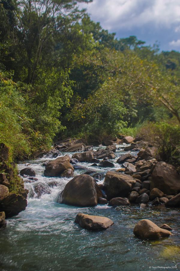 Jungle River Ginigathena Kültér fotó