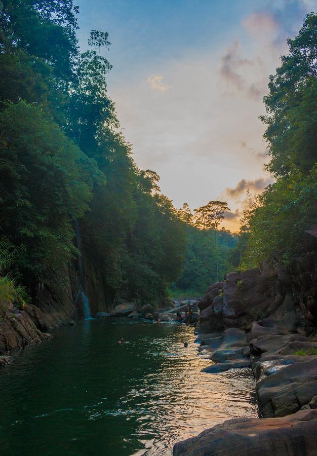 Jungle River Ginigathena Kültér fotó