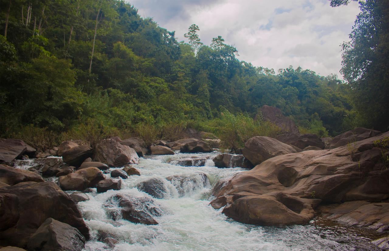 Jungle River Ginigathena Kültér fotó