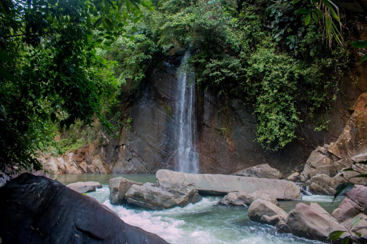 Jungle River Ginigathena Kültér fotó